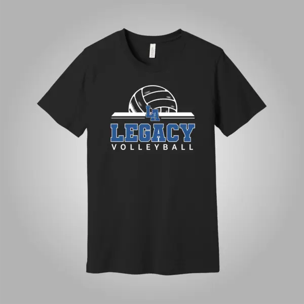 Volleyball Design 1